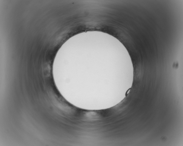 X0000112860183200909181810
