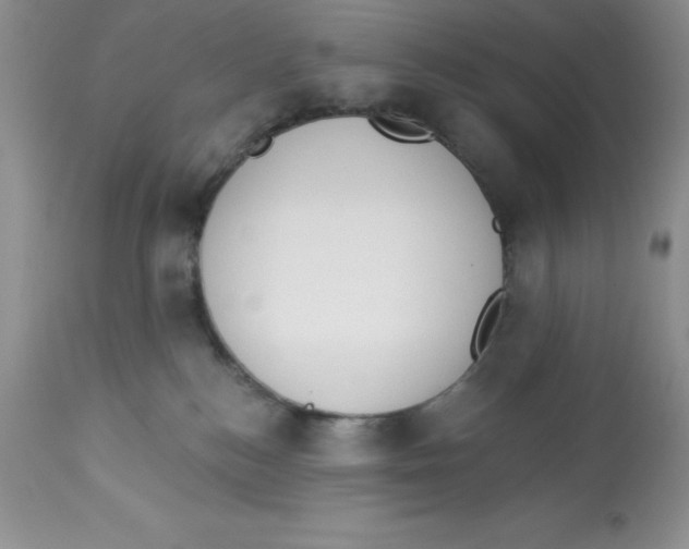X0000112860184200909181810