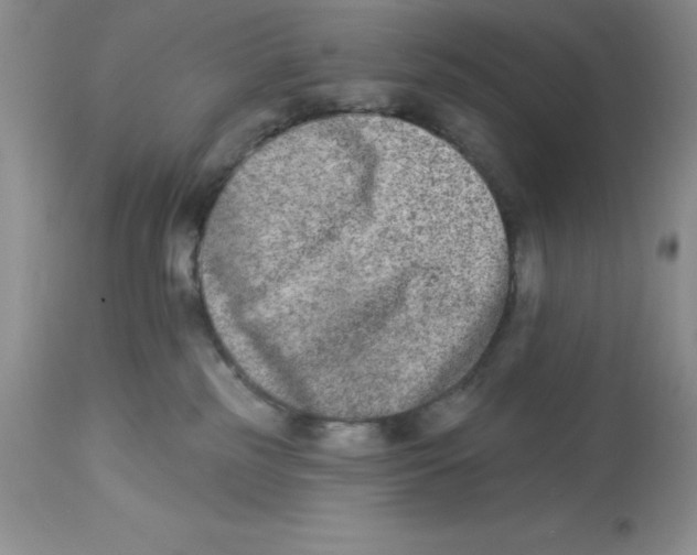 X0000112860185200909181810