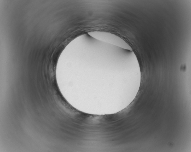 X0000112860186200909181810