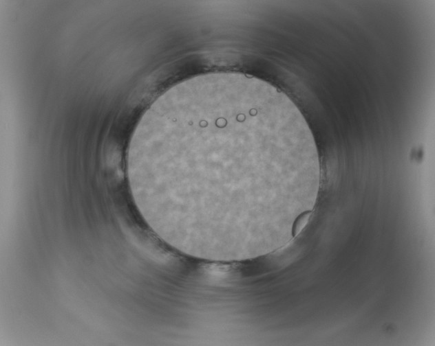 X0000112860187200909181810