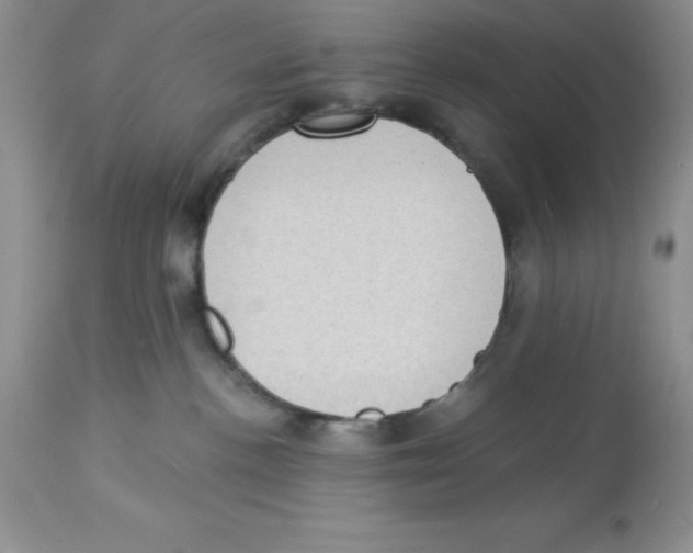 X0000112860188200909181810