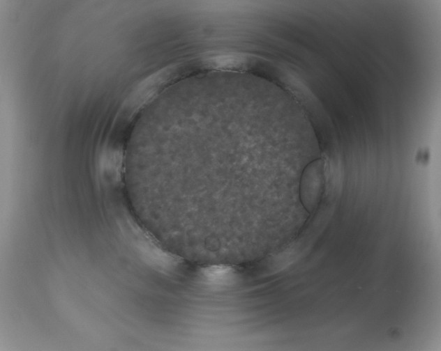 X0000112860189200909181810