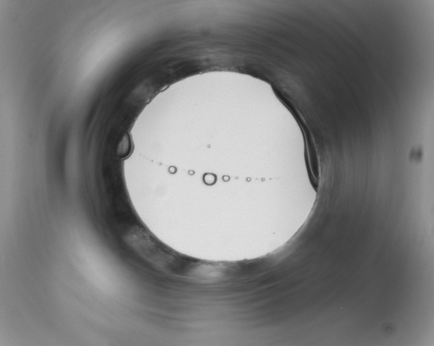 X0000112860190200909181810