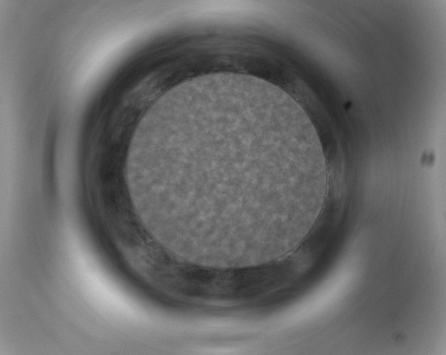 X0000112860191200909181810