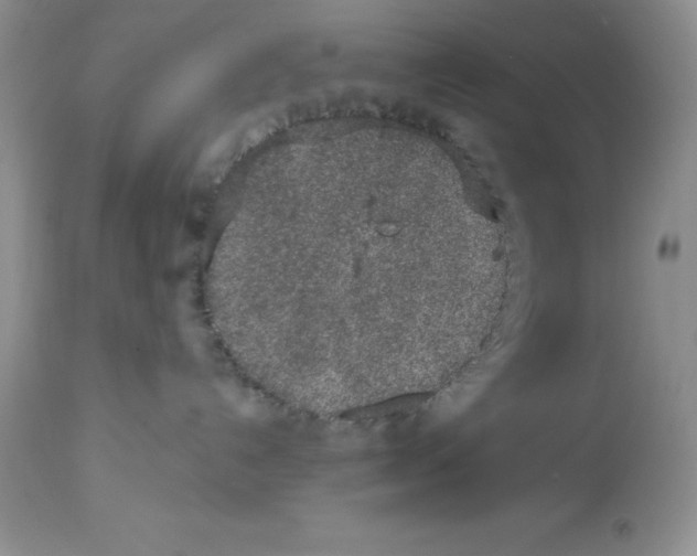 X0000112860192200909181810