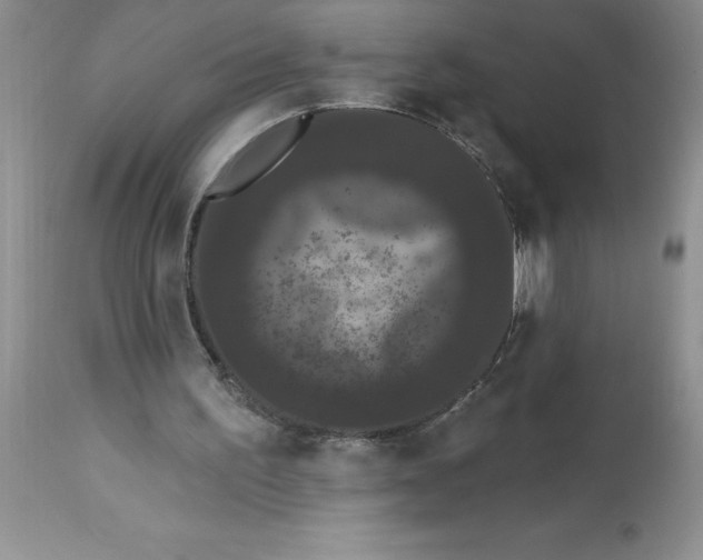 X0000112860195200909181809
