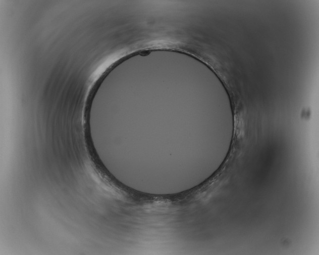 X0000112860196200909181809