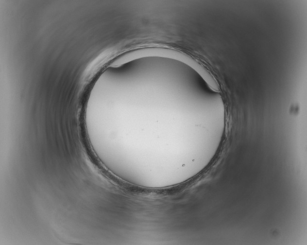 X0000112860197200909181809