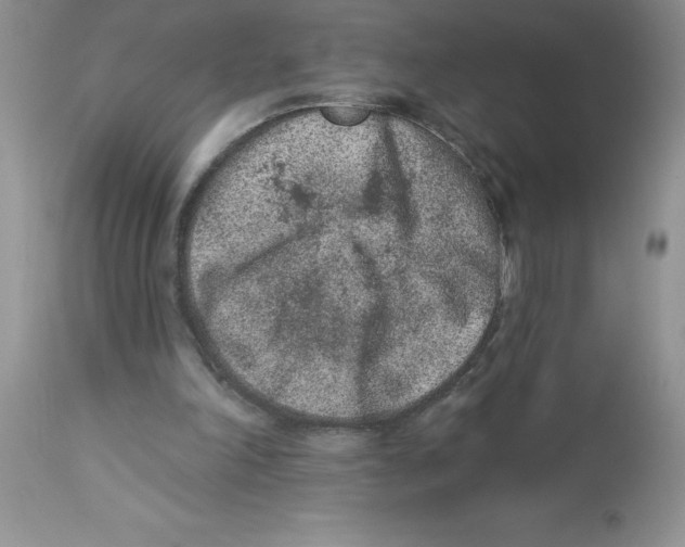 X0000112860198200909181809