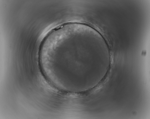 X0000112860199200909181809