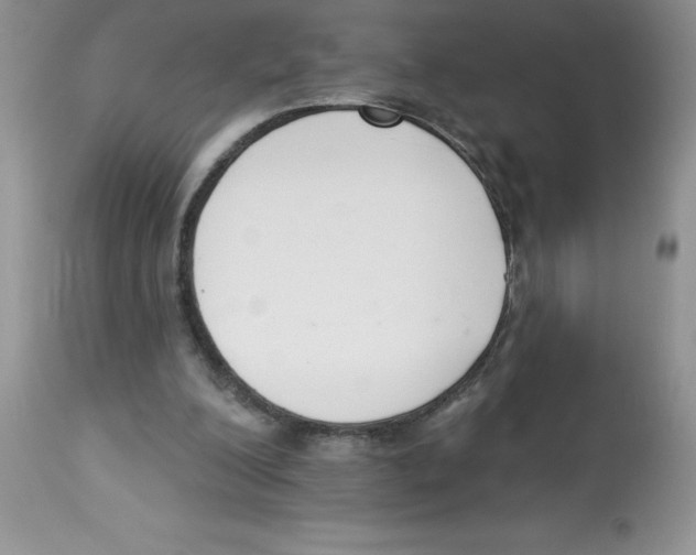 X0000112860200200909181809