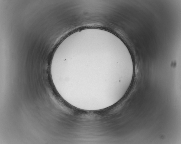 X0000112860201200909181809