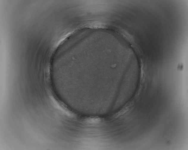 X0000112860202200909181809