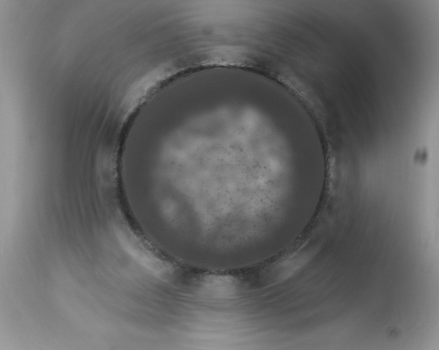 X0000112860203200909181809