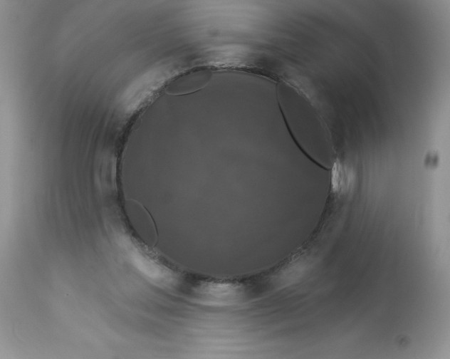 X0000112860205200909181809
