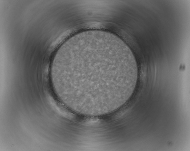 X0000112860206200909181809