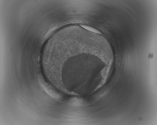 X0000112860207200909181809