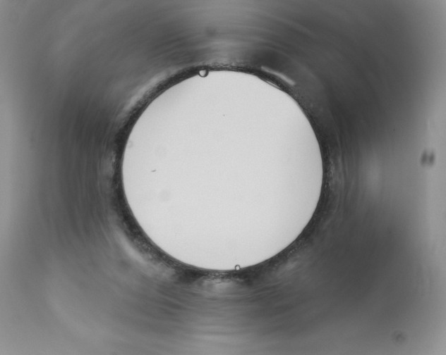 X0000112860208200909181809