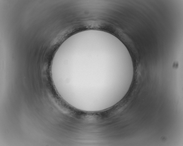 X0000112860209200909181809