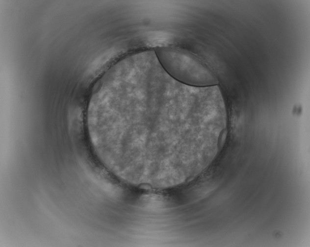 X0000112860211200909181809