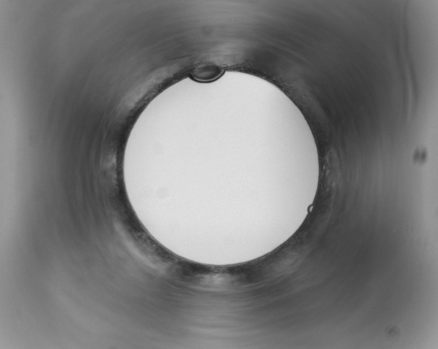 X0000112860212200909181809