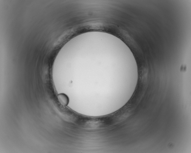 X0000112860213200909181809