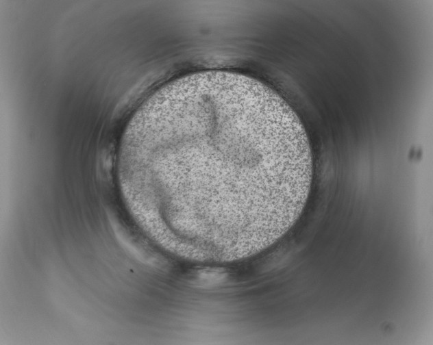X0000112860214200909181809