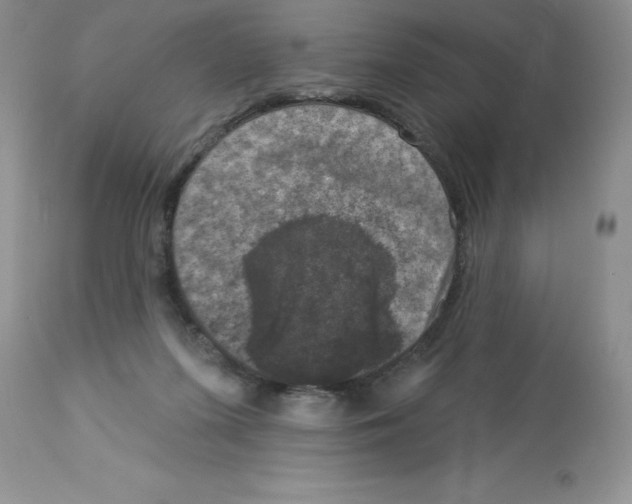 X0000112860215200909181809