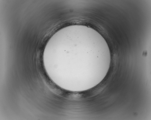 X0000112860217200909181809