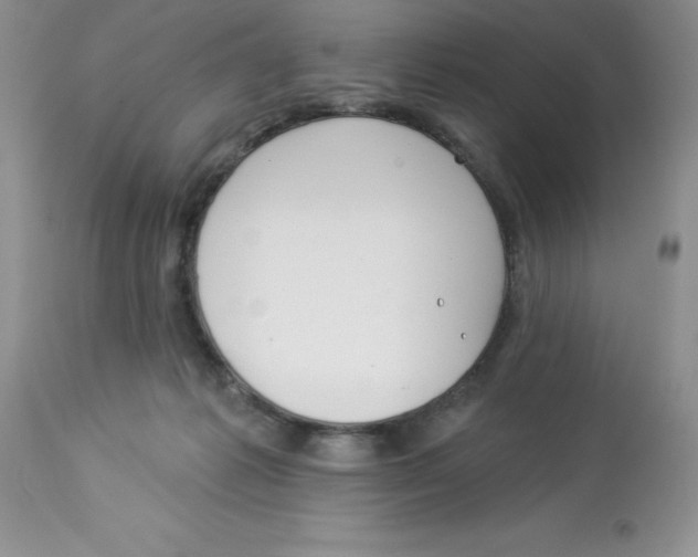 X0000112860221200909181809