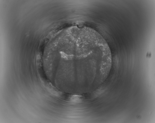 X0000112860222200909181809