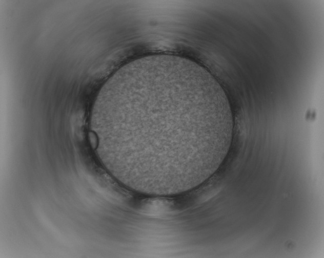 X0000112860223200909181809