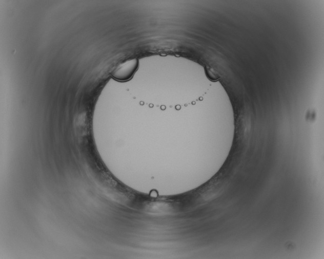 X0000112860224200909181809