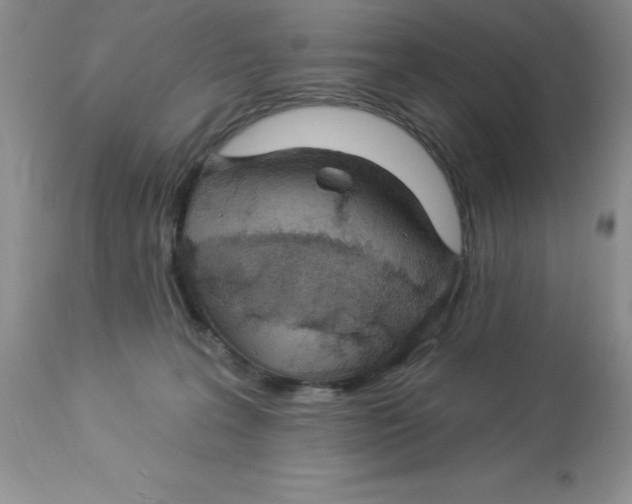 X0000112860227200909181809