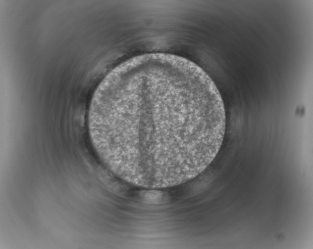 X0000112860230200909181808