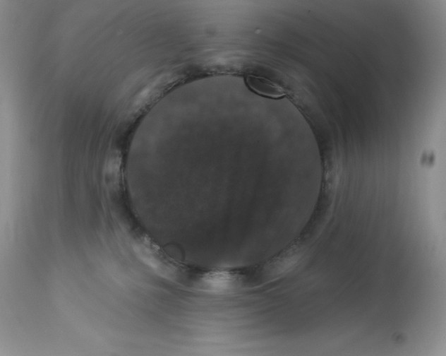X0000112860231200909181808