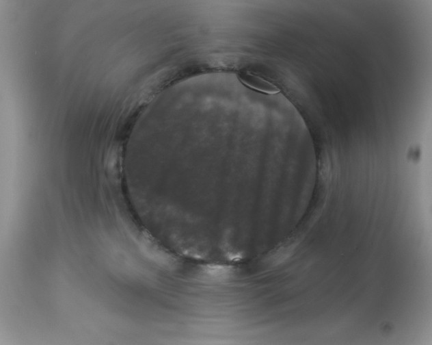 X0000112860233200909181808