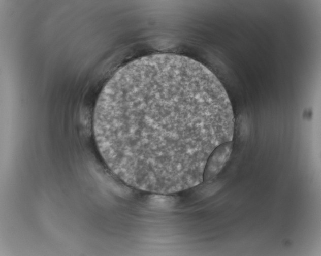 X0000112860234200909181808