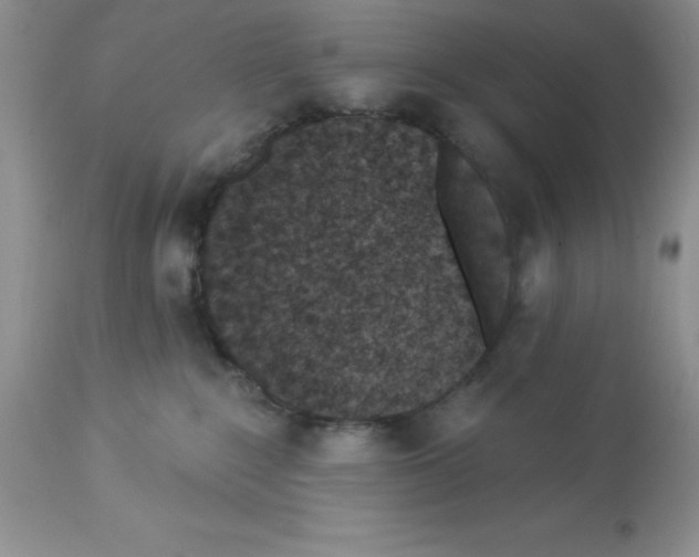 X0000112860235200909181808