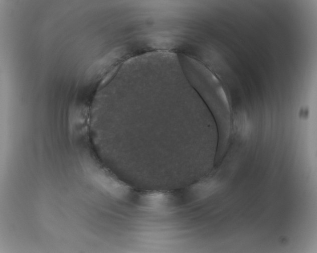 X0000112860237200909181808
