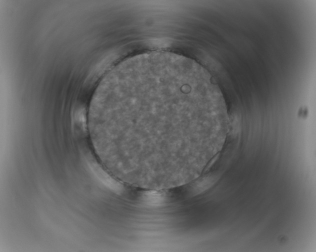 X0000112860238200909181808