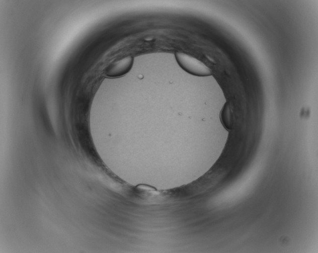 X0000112860239200909181808