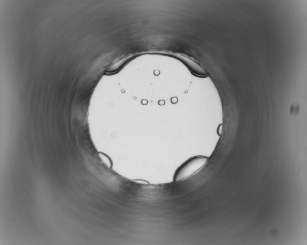 X0000112860240200909181808