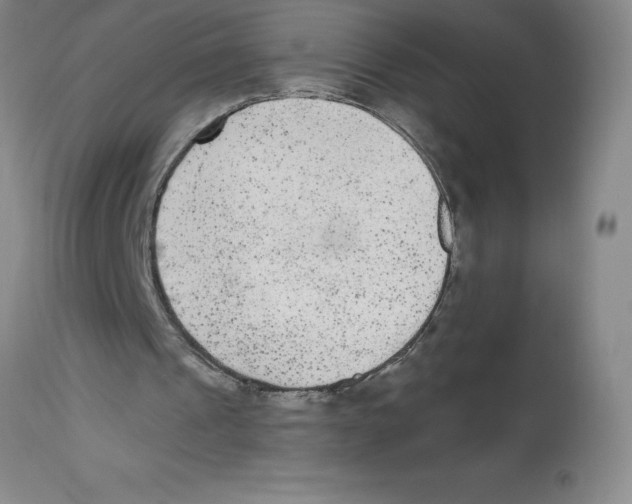 X0000112860241200909181808