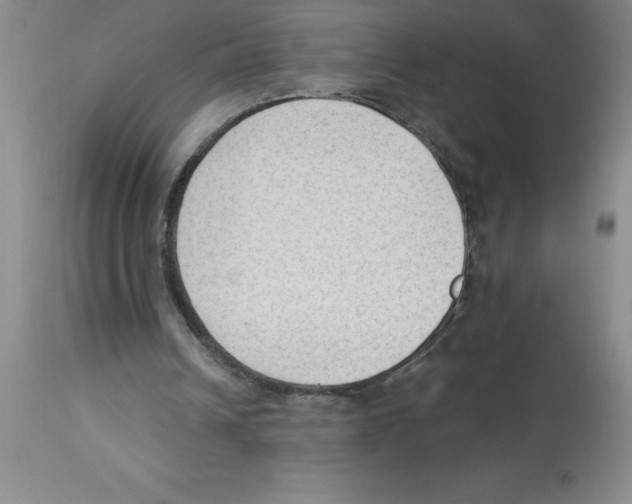 X0000112860242200909181808