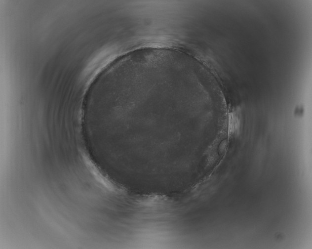 X0000112860243200909181808