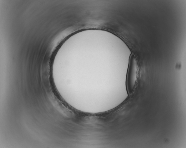 X0000112860244200909181808