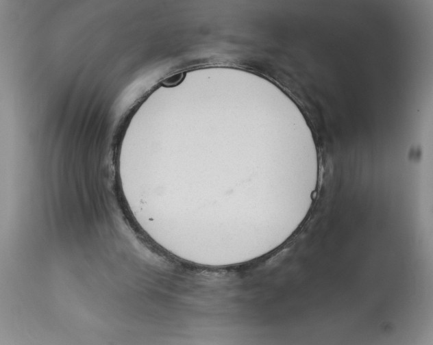 X0000112860245200909181808