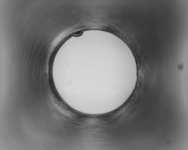 X0000112860246200909181808